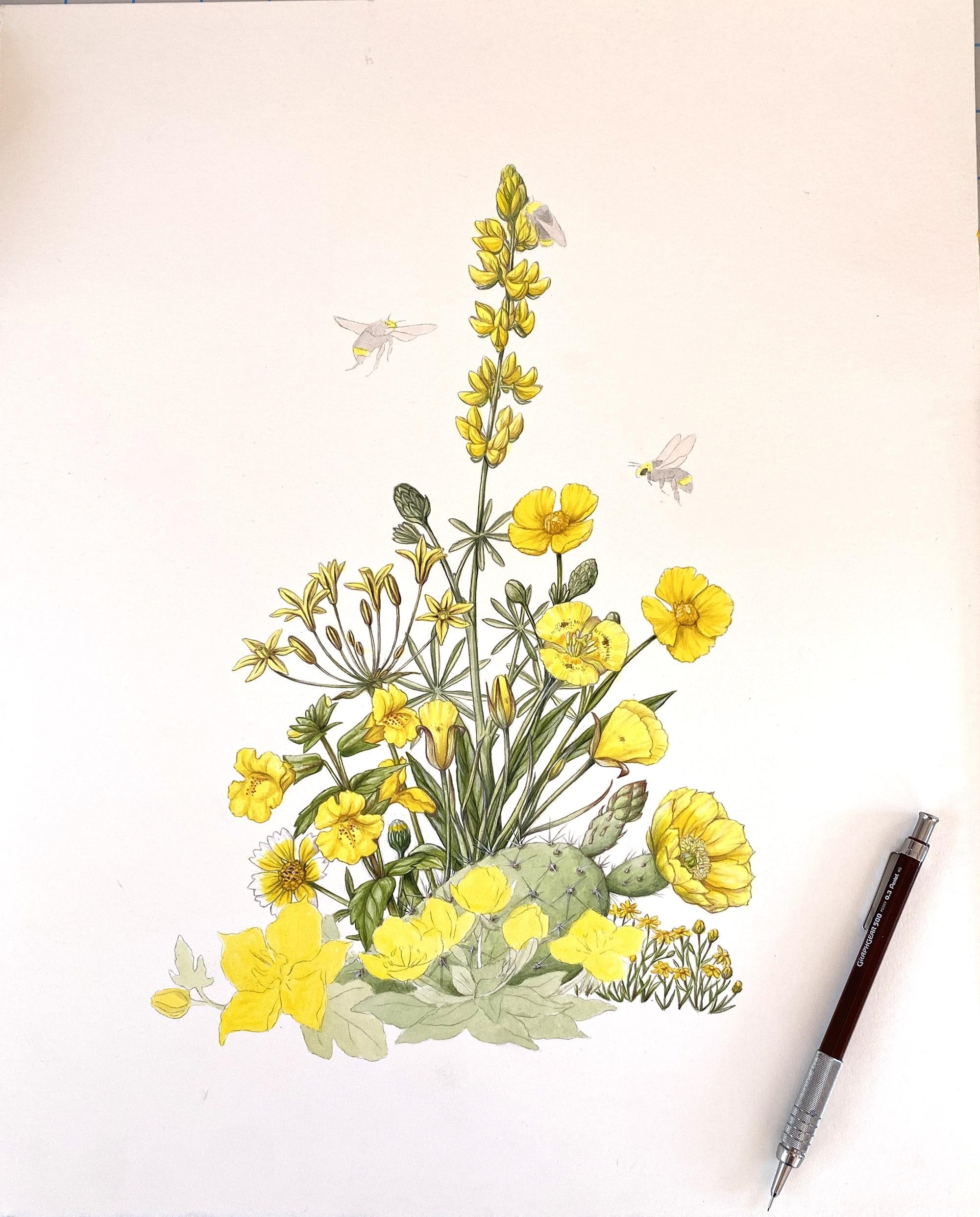 Photo of in-progress painting of yellow California wildflowers