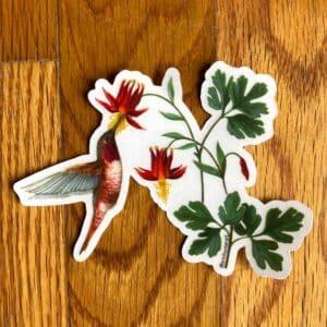Hummingbird Columbine Wildflower Sticker