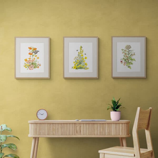 California Wildflowers in 3 colors above a work desk