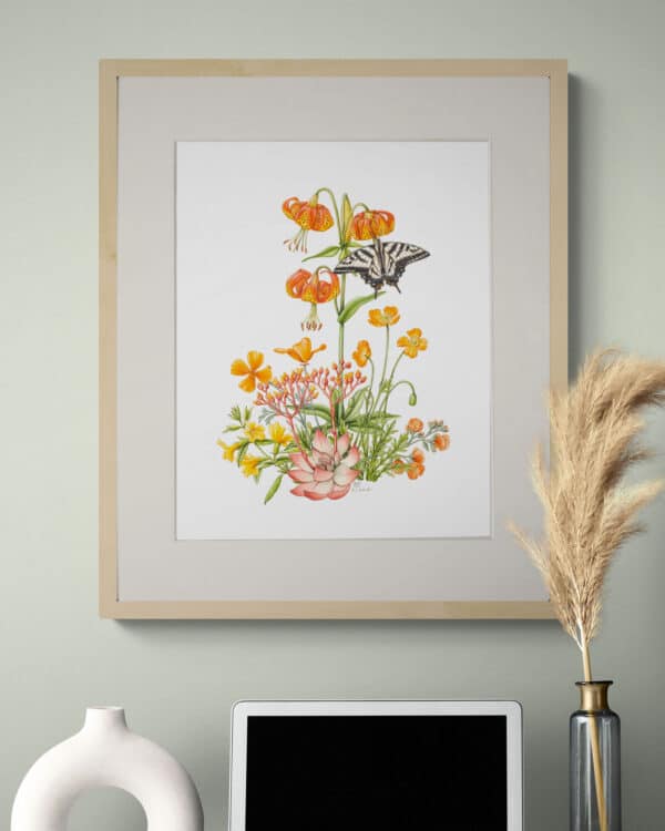 California Wildflowers in Orange in situ