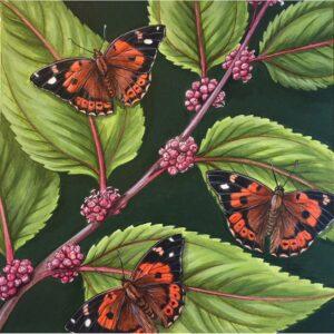 Kamehameha butterflies and māmaki